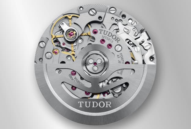 Automatic watch movement icon